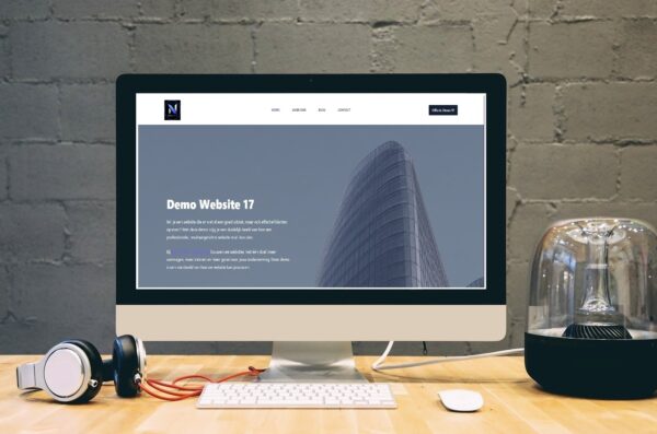Demo Website 17